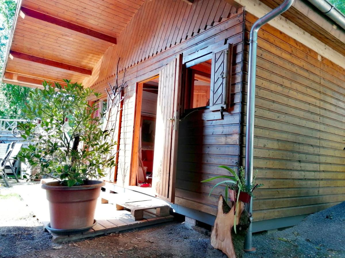 Kleines Studio im Eichenwäldchen, 1 Zimmer Küche Bad - Housity