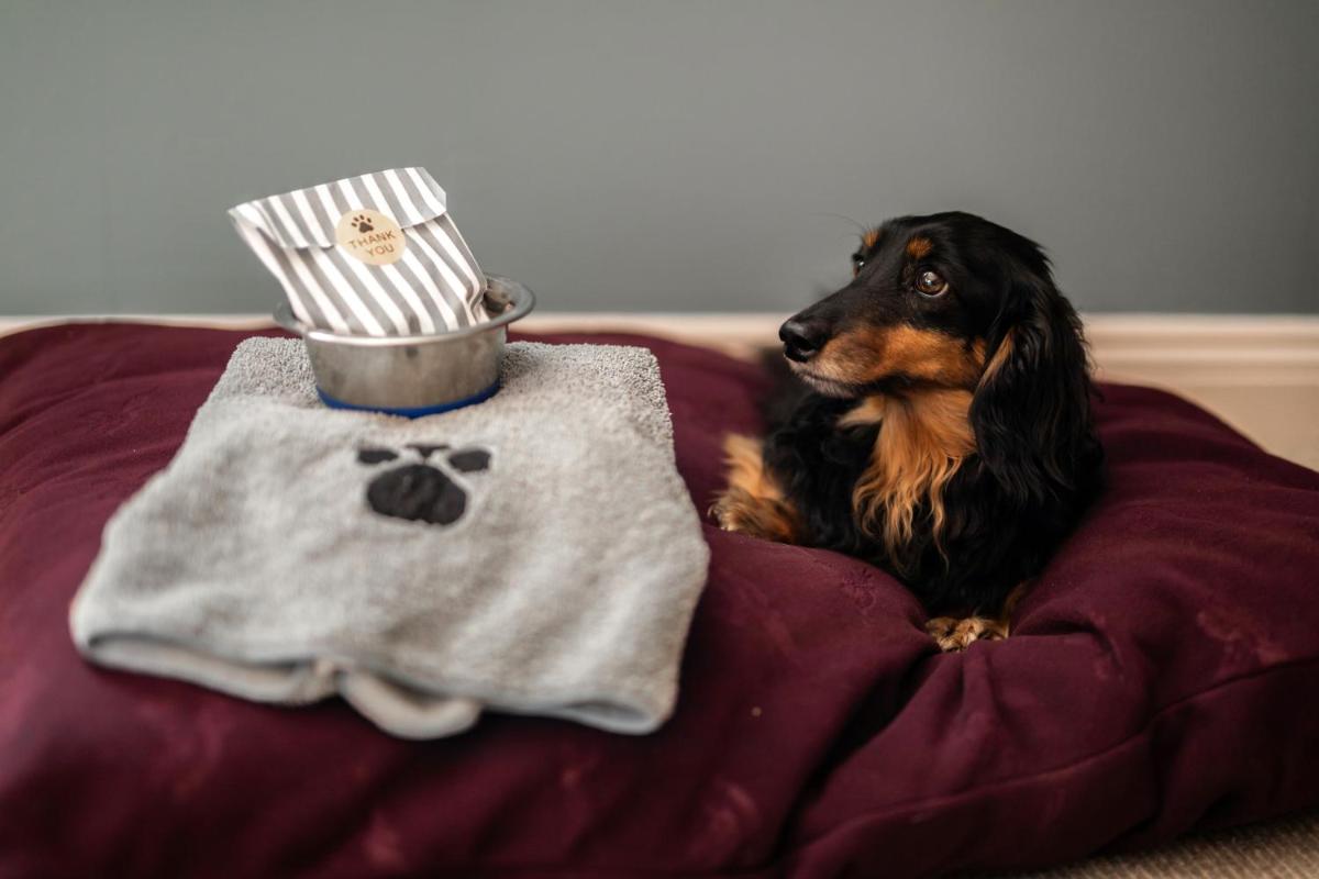 The Lamb Inn - Housity