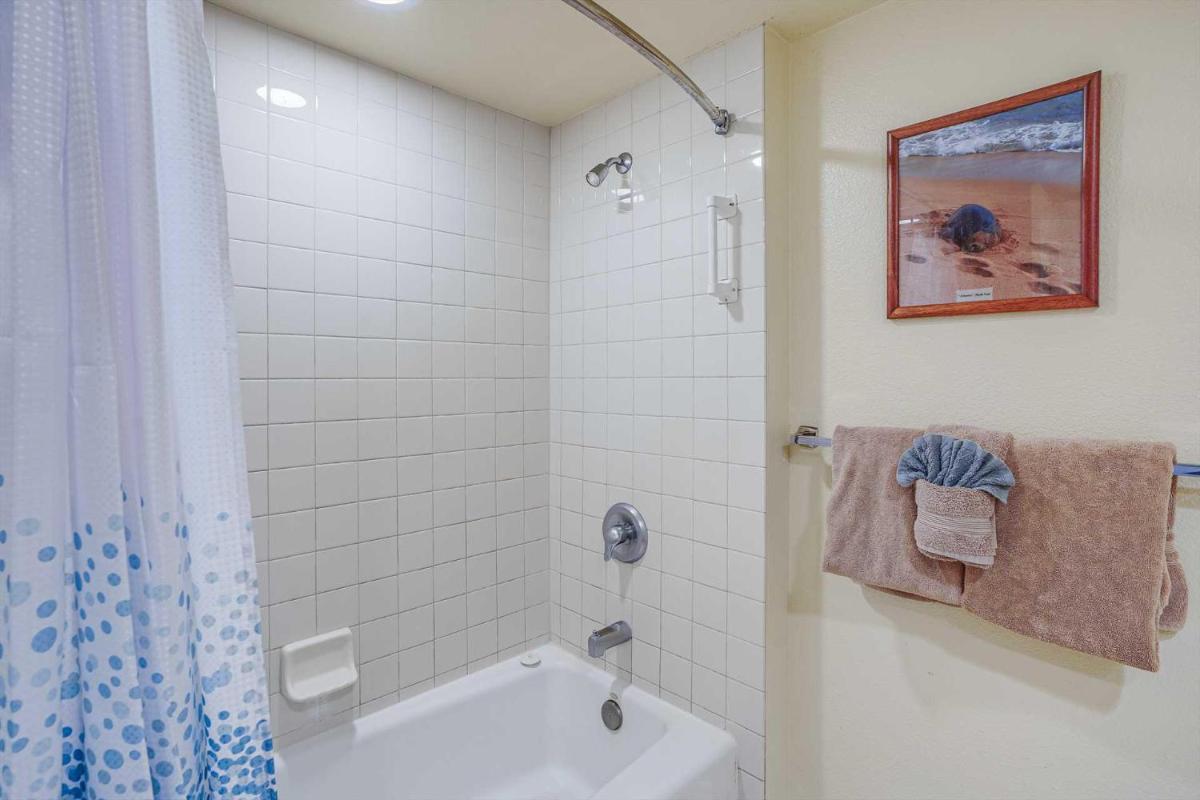 Islander on the Beach 160 - Housity