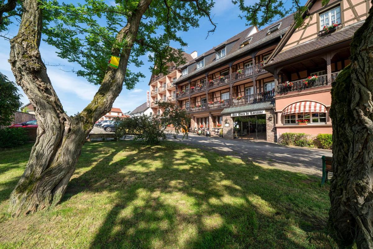 un arbre dans l'herbe à côté d'un bâtiment dans l'établissement Hotel Munsch Restaurant & Wellness, Colmar Nord - Haut-Koenigsbourg, à Saint-Hippolyte