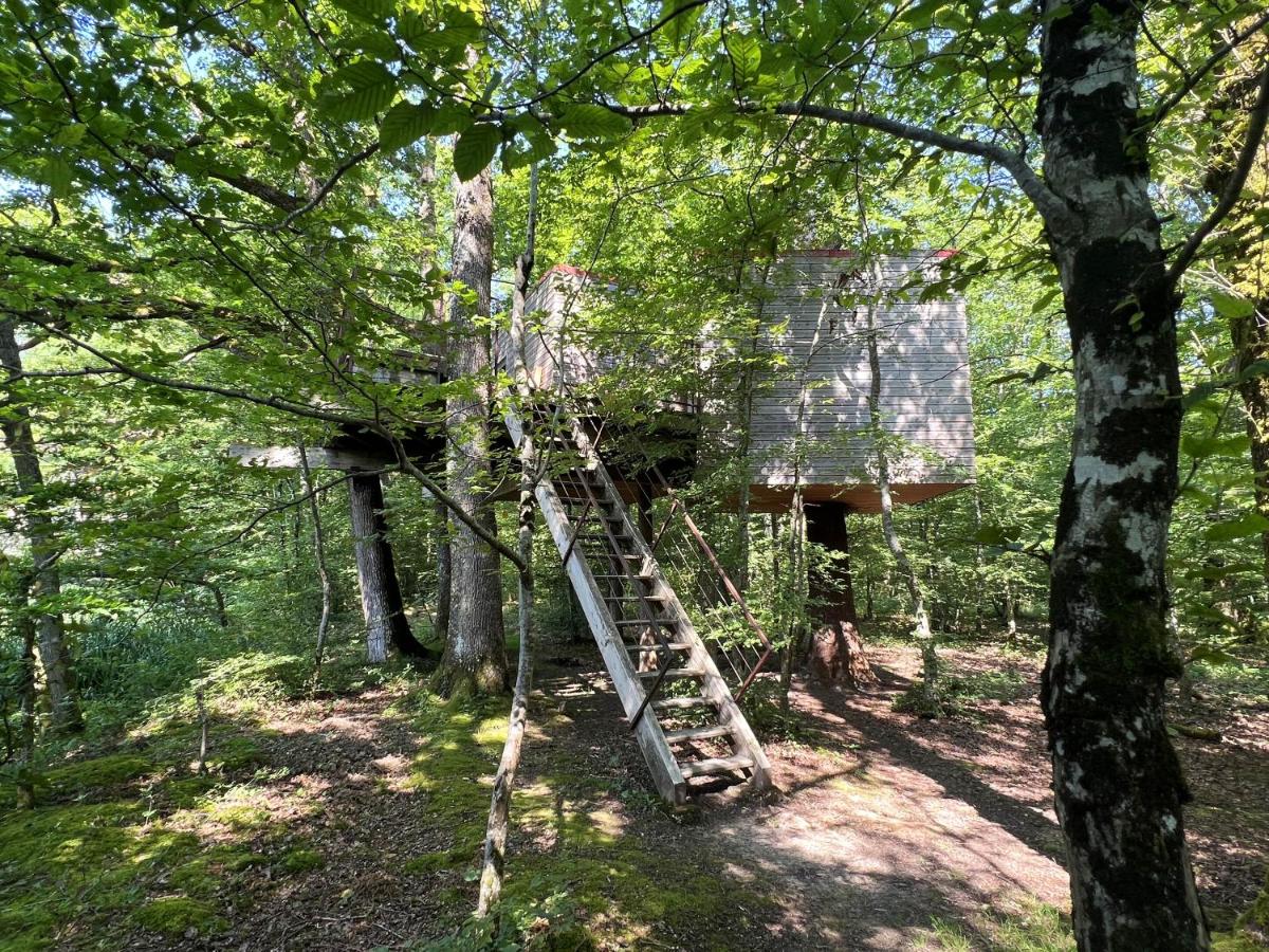 Domaine des Galants - Nids Perchés - Housity