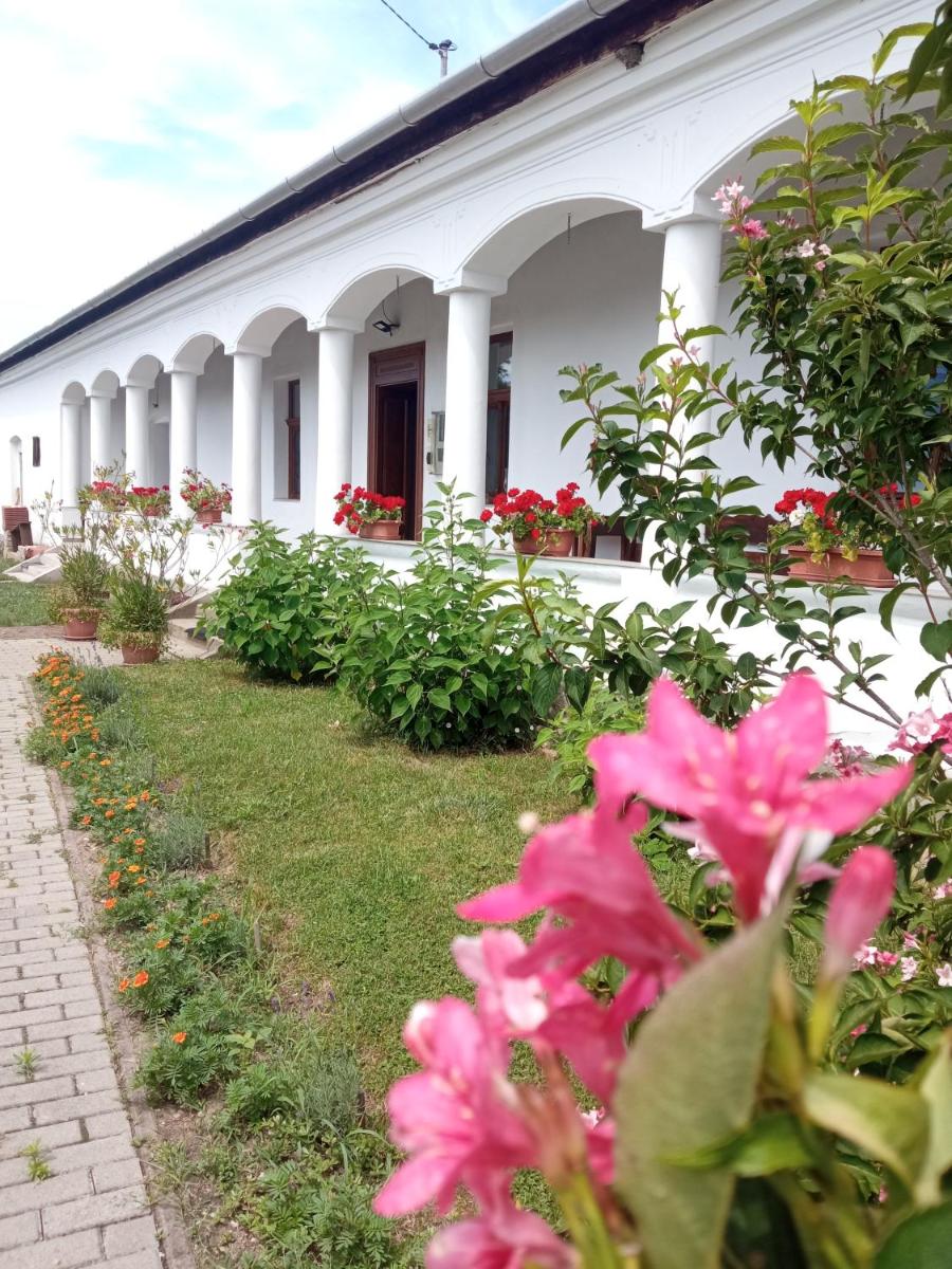 Heni Vendégháza - Housity