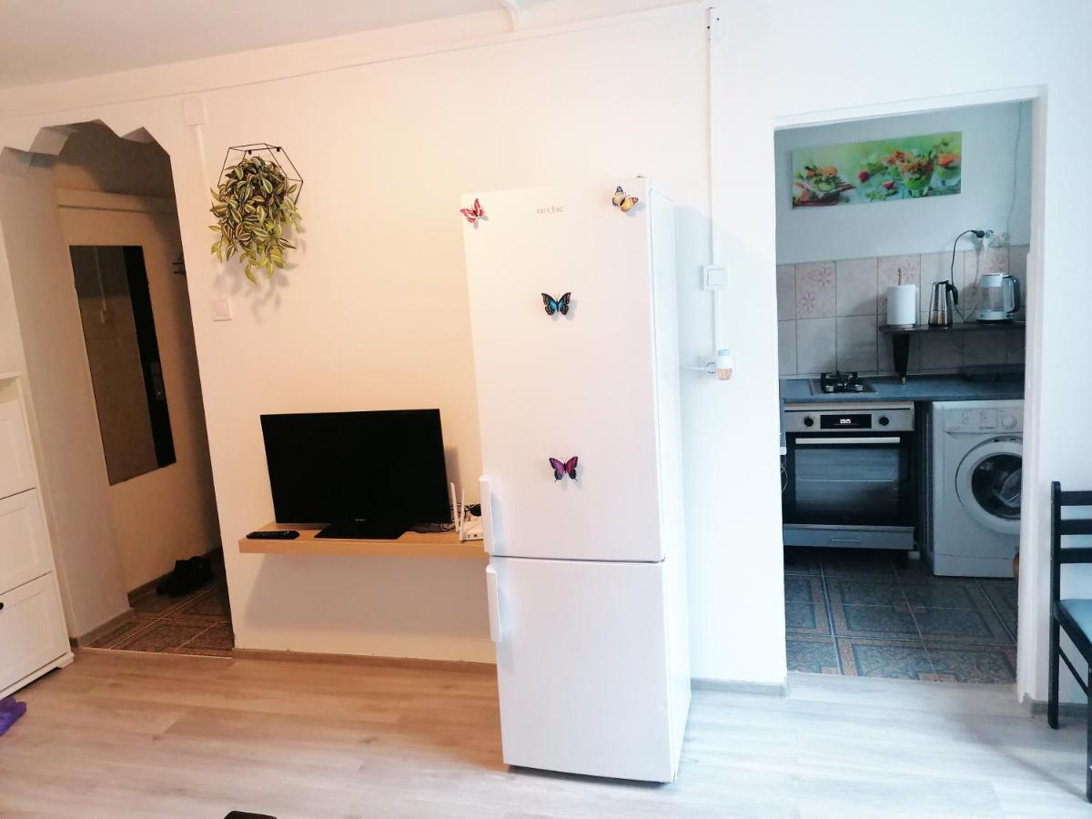 Romanilor - Studio First Floor - Housity