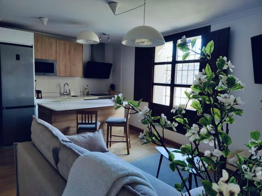 Apartamento Palacio de los Burgo - Housity