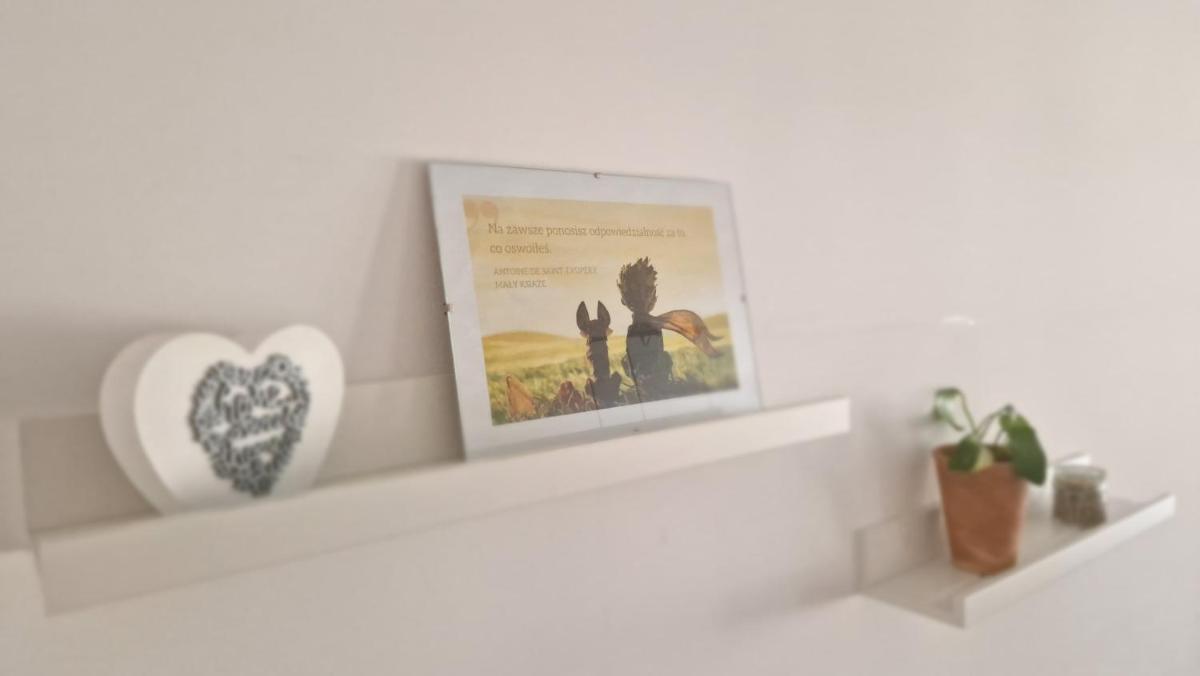 Heart of Trnava - Housity