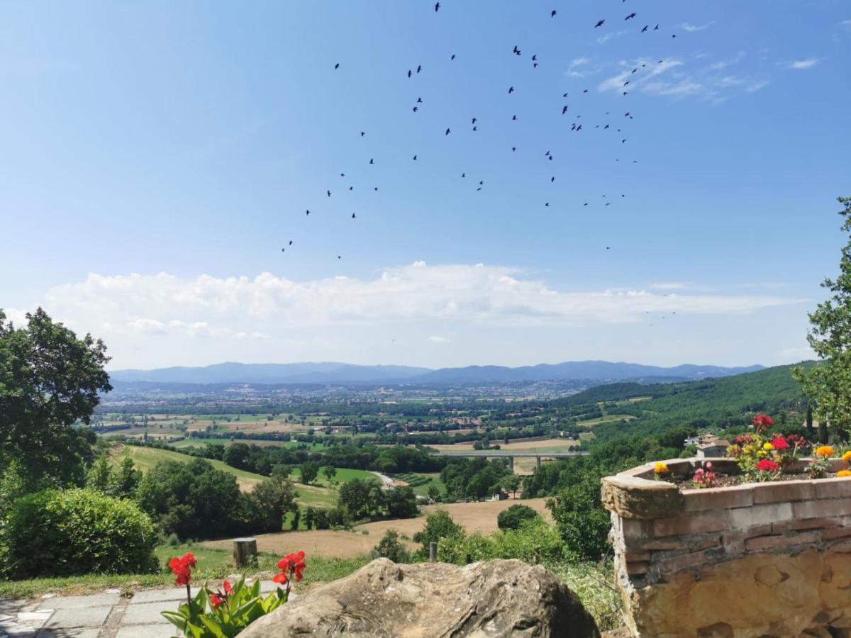 Al Podere del Nonno Romolo - Housity