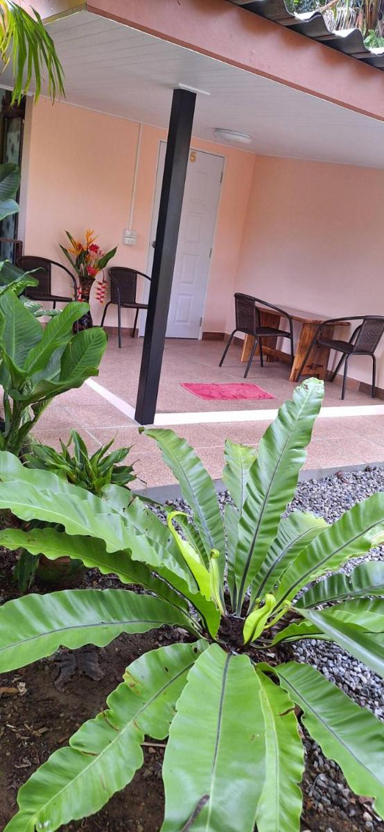 Khao Sok Holiday Resort - Housity