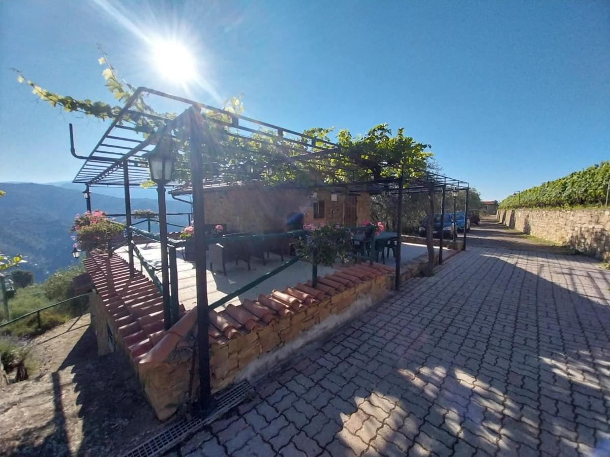 Casetta Marì immersa in un vigneto - Hizvo