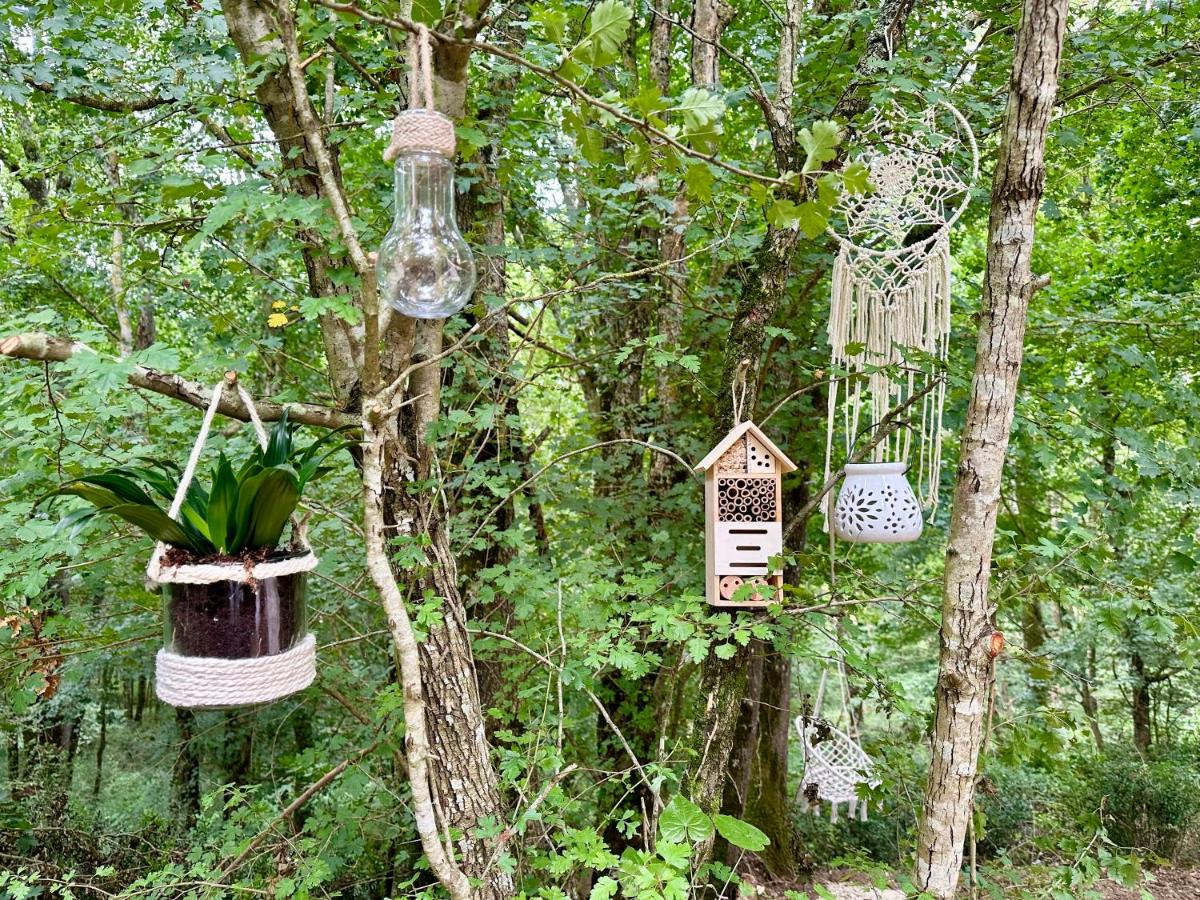 Wild Lodge - Housity
