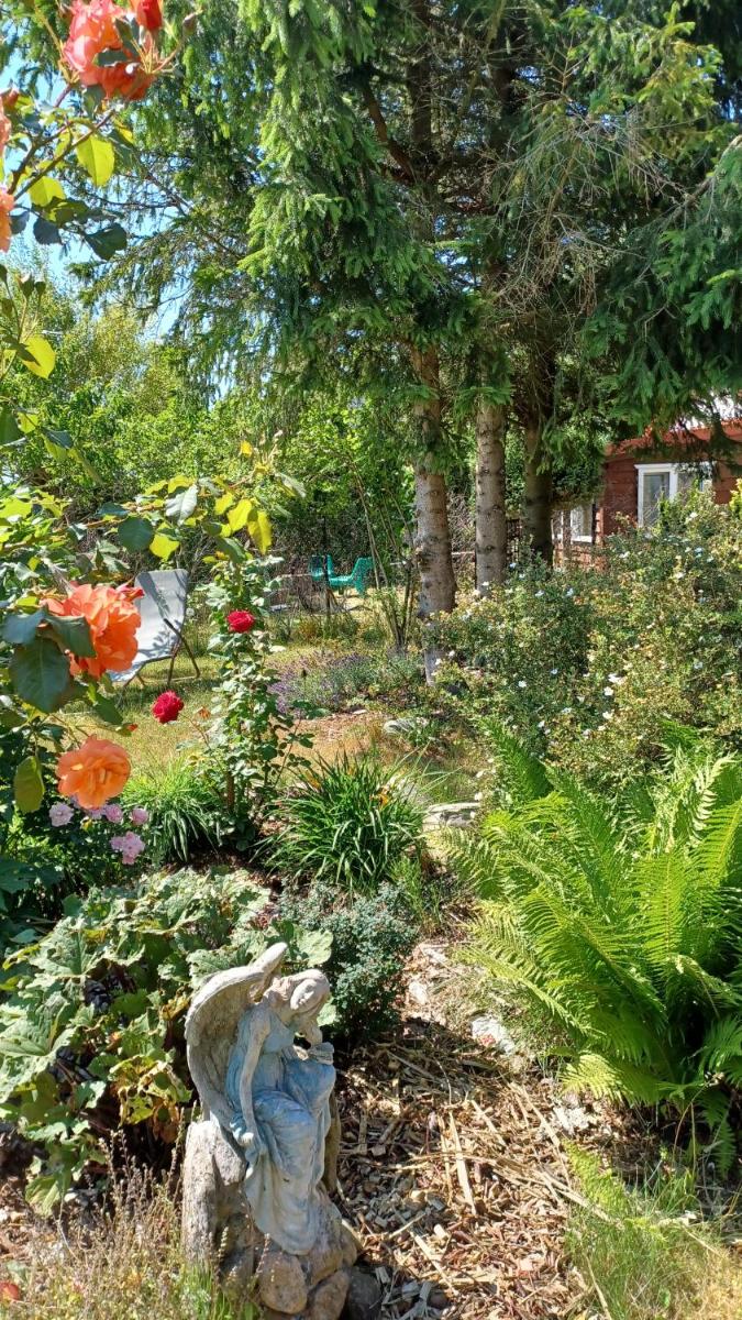 Siedlisko pod Wierzba - Housity