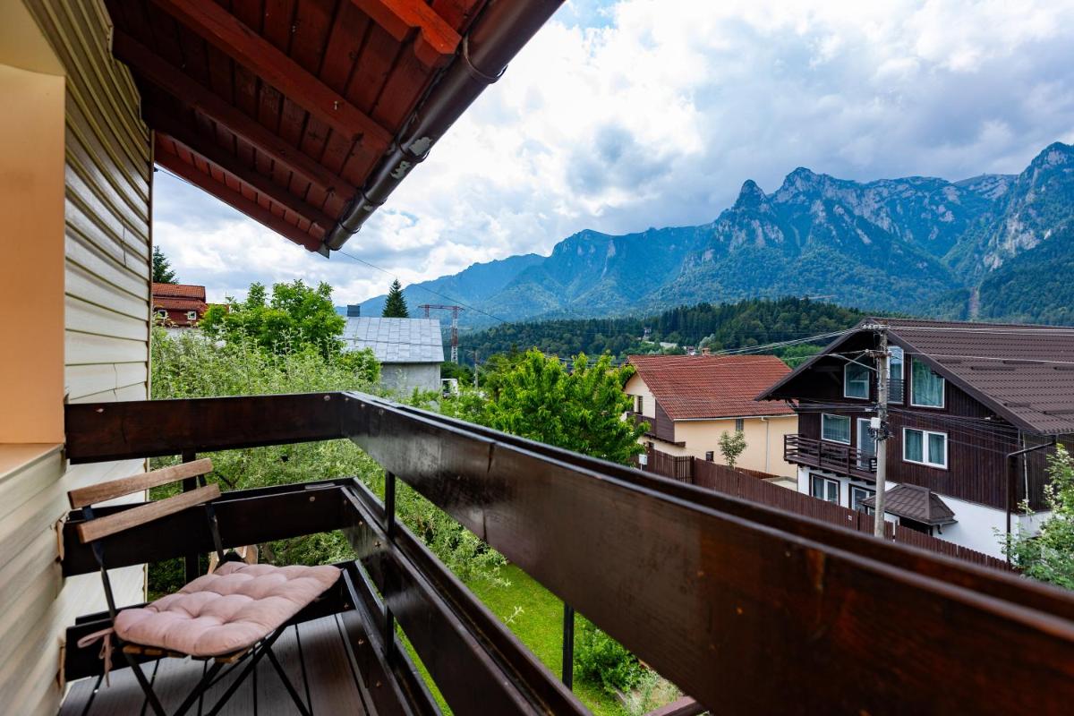 The Bear House - Housity