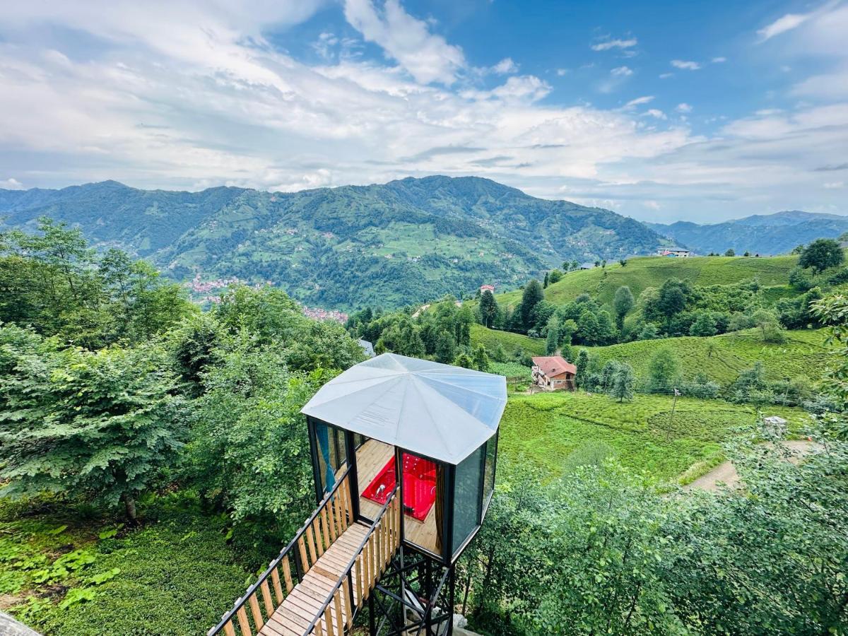 Organic village bungalow - Housity