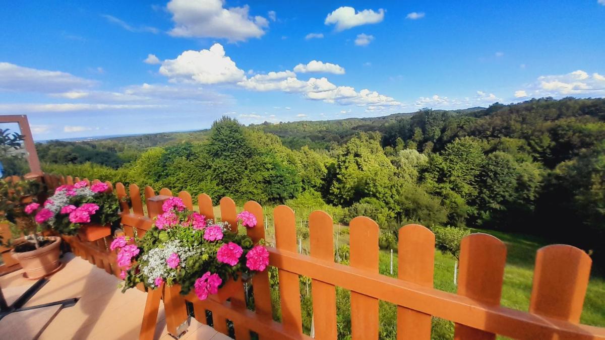 Kuca za odmor klet Šaban - Housity