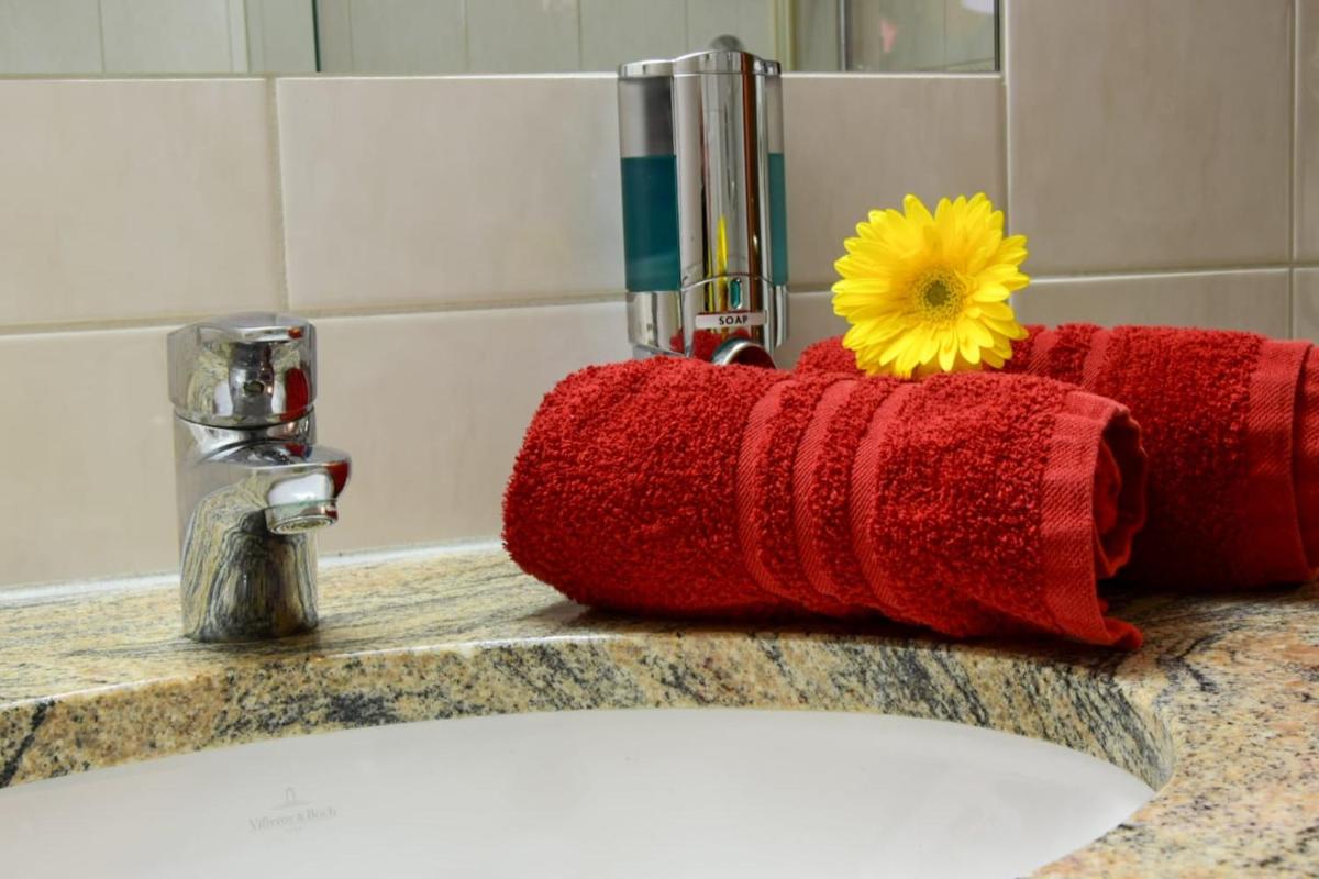 Hotel Traube - Housity