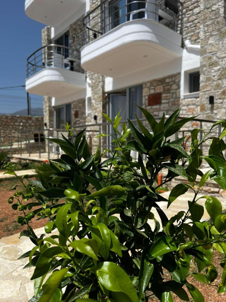Noah's Home - Housity