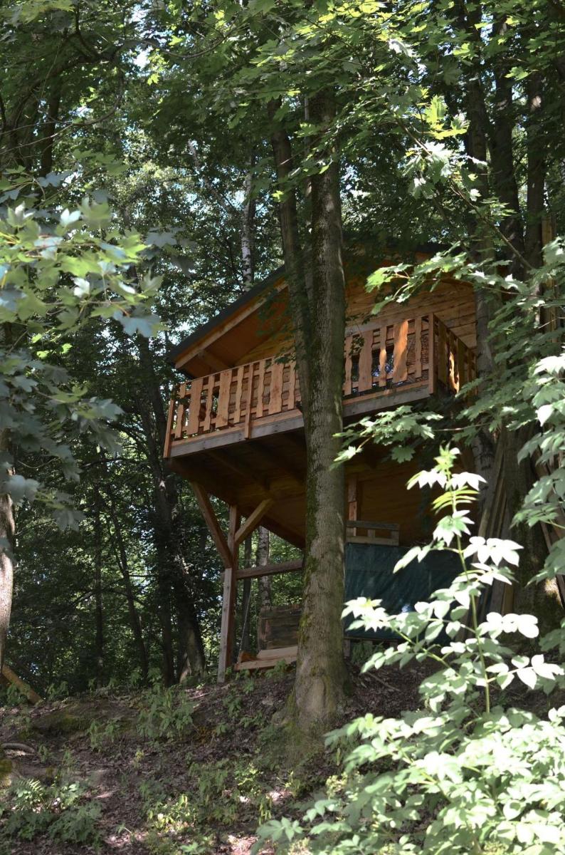 Treehouse Velké Losiny - Housity