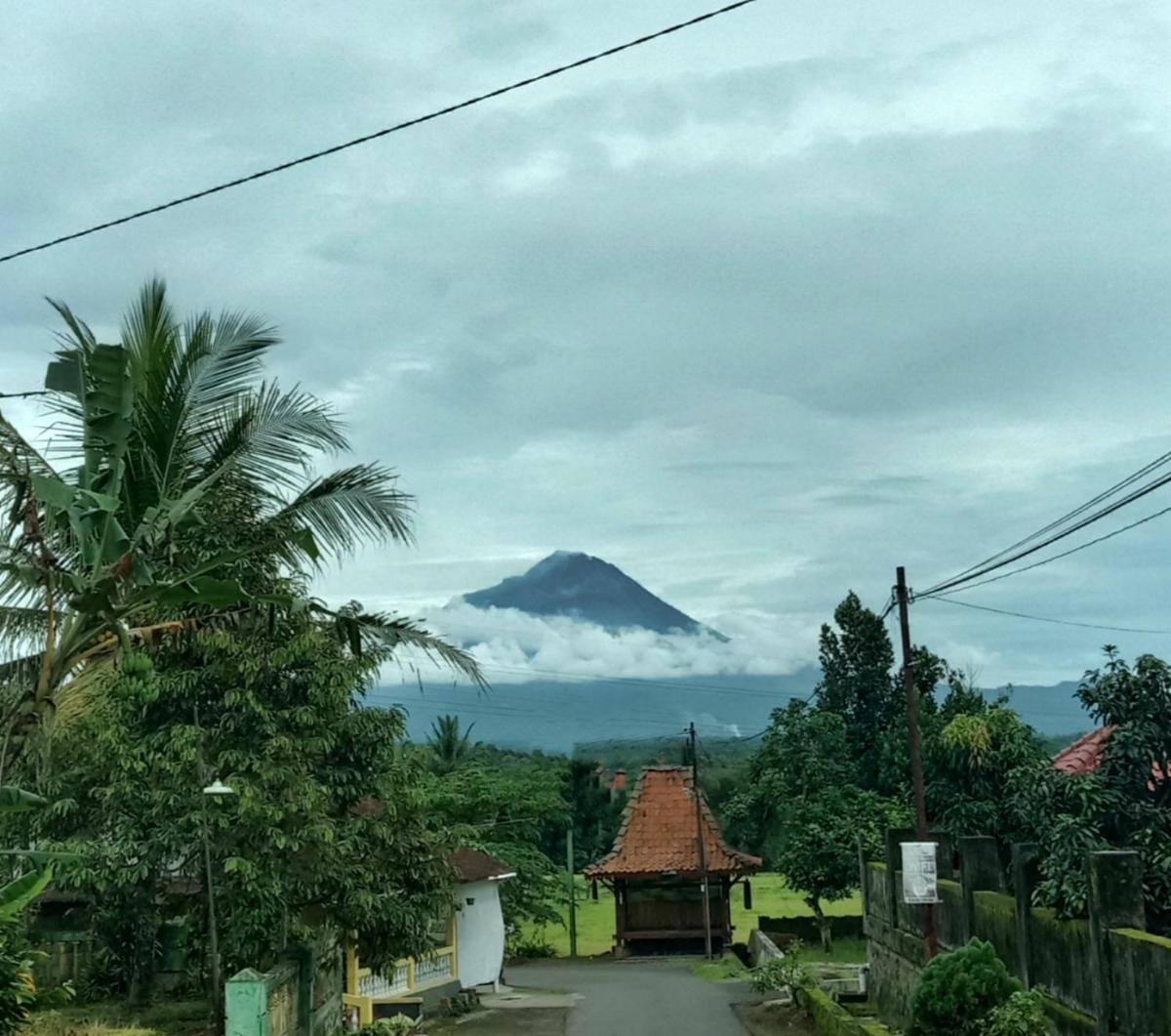 Karyakita Homestay Rumah Magelang - Housity