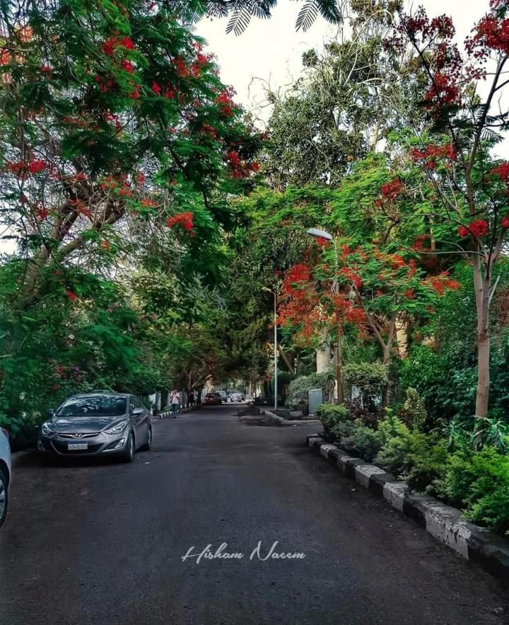 شقق فندقيه غرفتين مكيفة - Housity