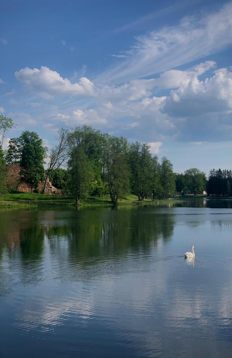 Tiny lake house - Housity