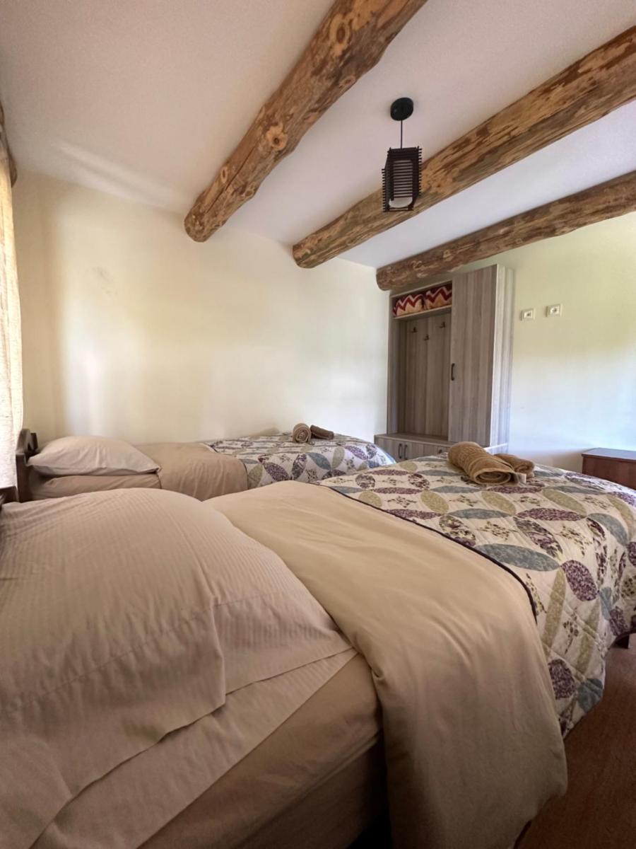 Guesthouse Lasharai - Housity