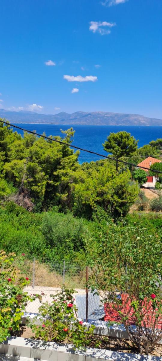 Μονοκατοικία Ωρωπό - Housity