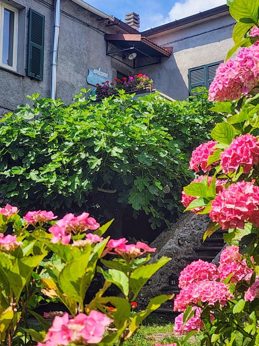 B&B Alle Ortensie Blu - Housity