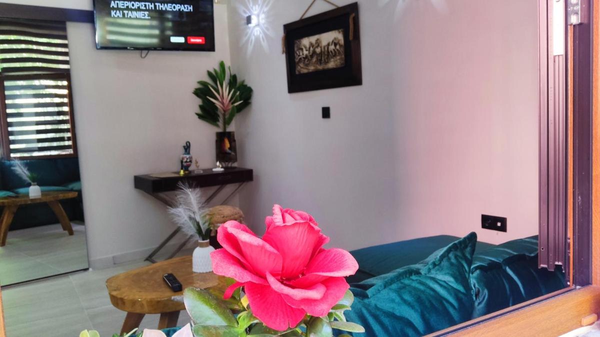 Halil Bey Luxury Apartments - Housity