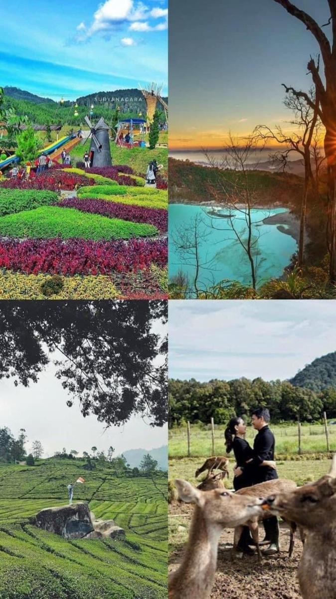 PinkHomestay Ciwidey - Housity