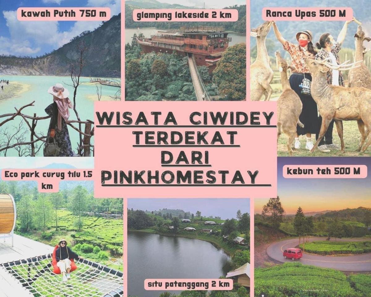 PinkHomestay Ciwidey - Housity