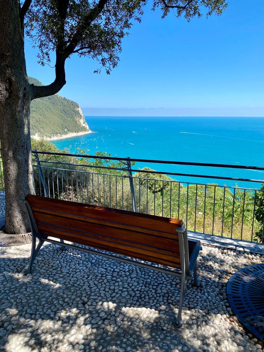 B&B Le Rondini - Sirolo - Housity