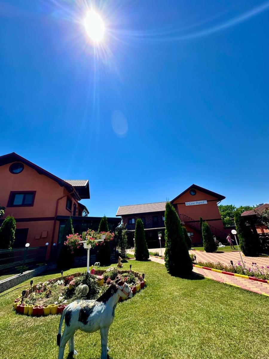 Pensiunea Bianca - Housity