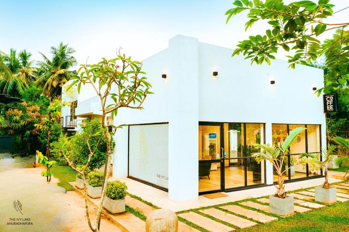 The Ivy Lake - Housity