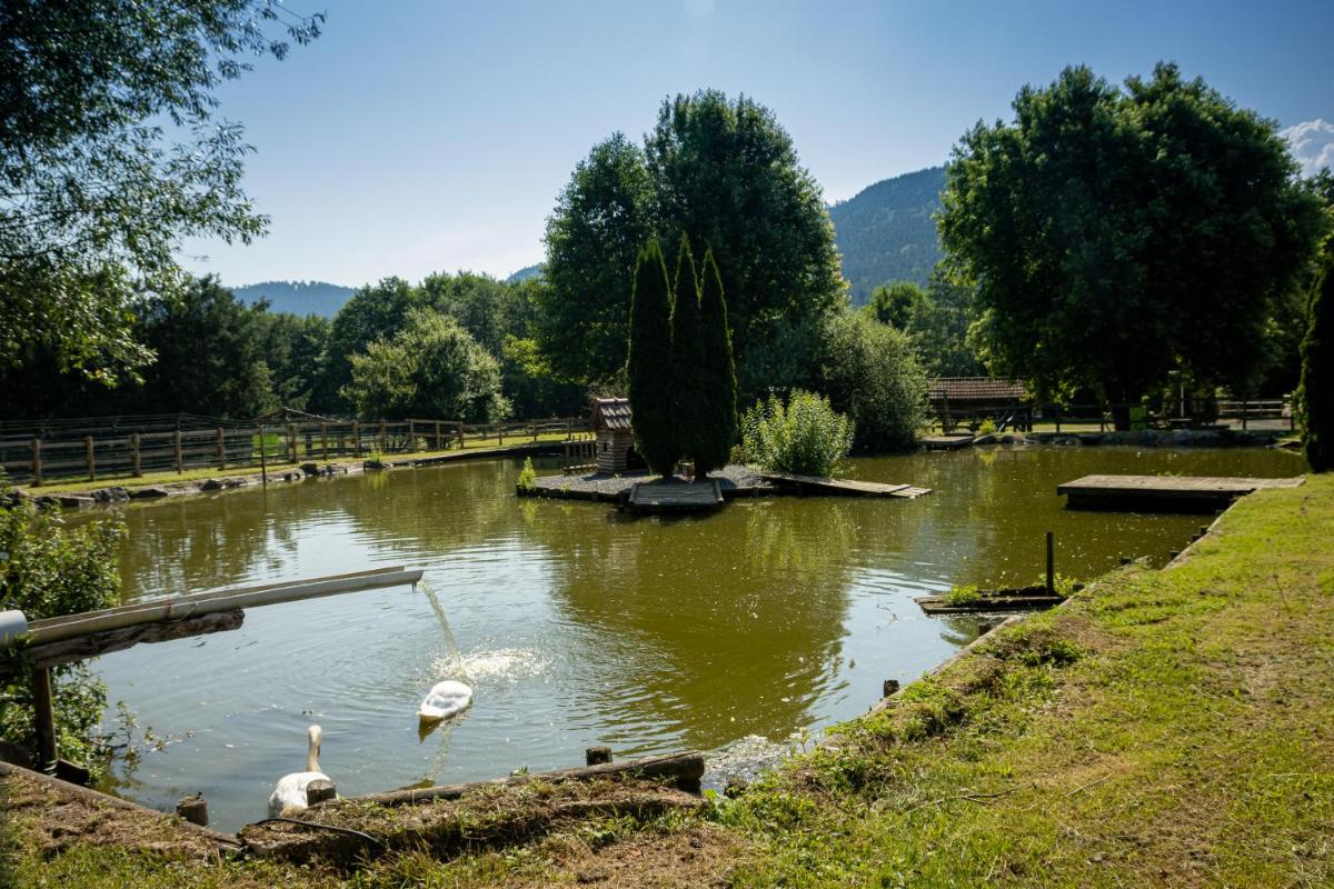 Paysage naturel près de l'hôtel