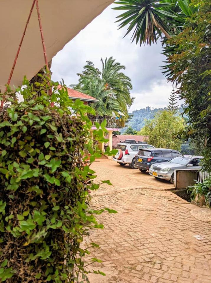 Steven and Dayness homestay - Housity
