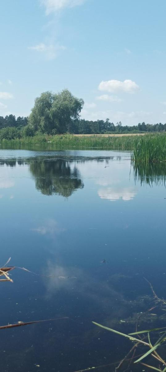 Pole Grunwald w Gościszewie - Housity