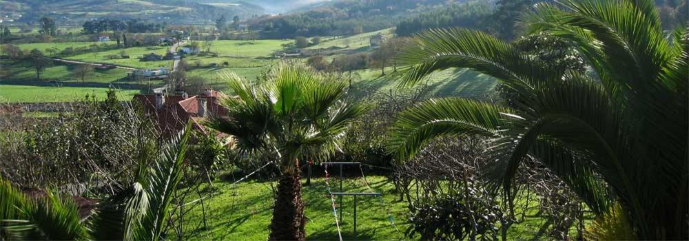 Hotel Rural La Curva Ribadesella - Housity