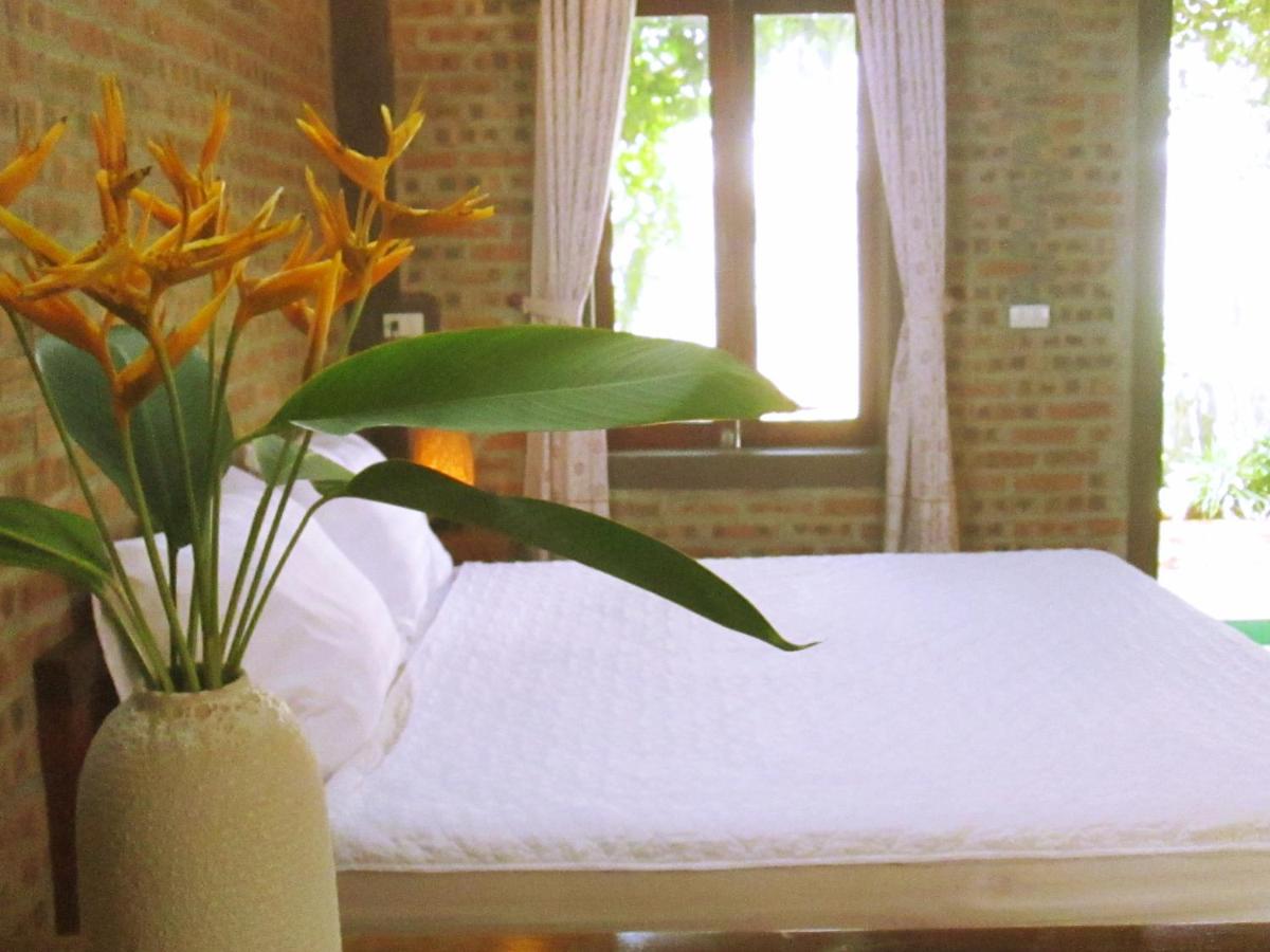 Ninh Binh Nature Homestay - Housity