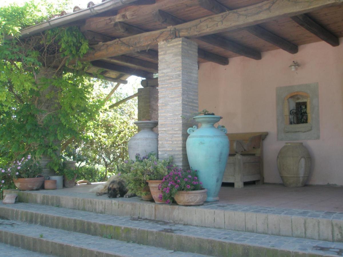 L'Oasi di Aaron - Housity