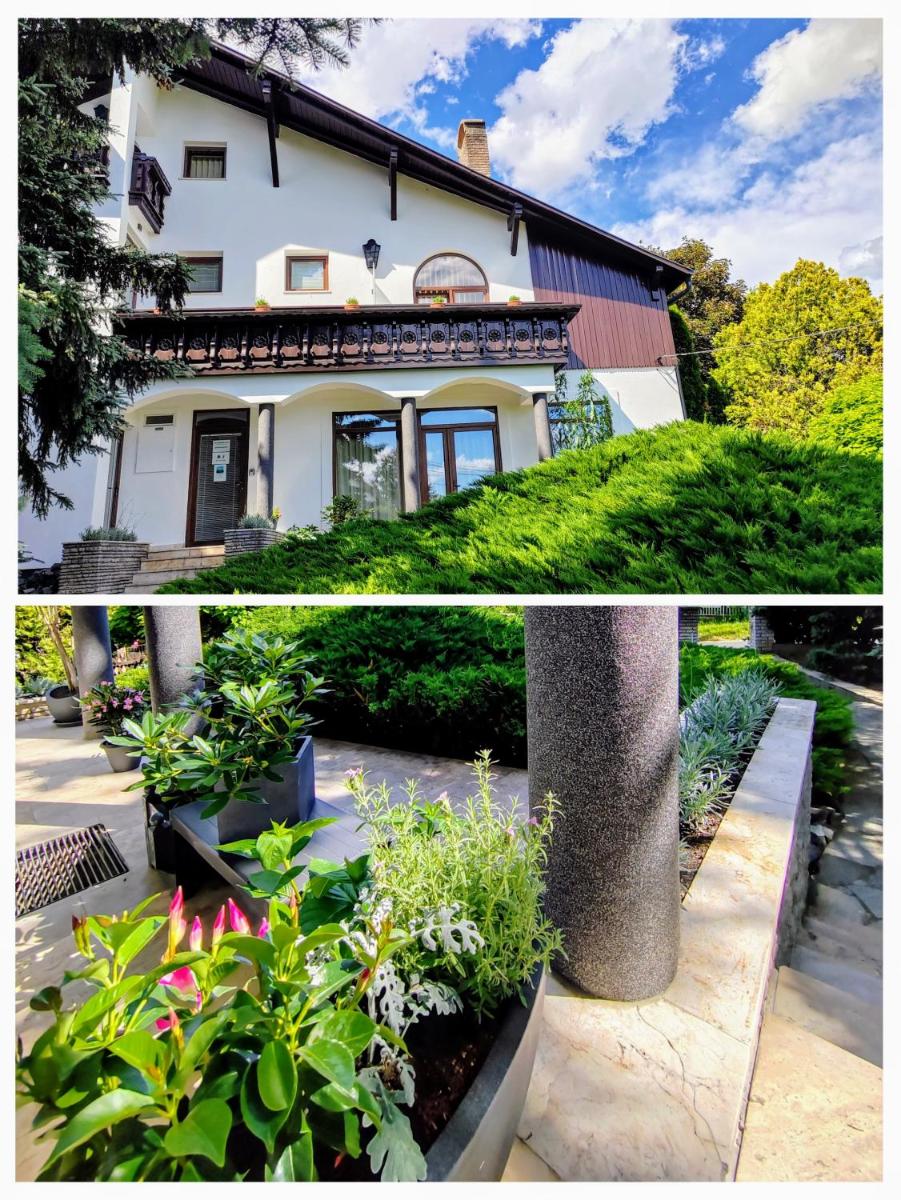 Hévíz,Dr Strecker Villa - Housity