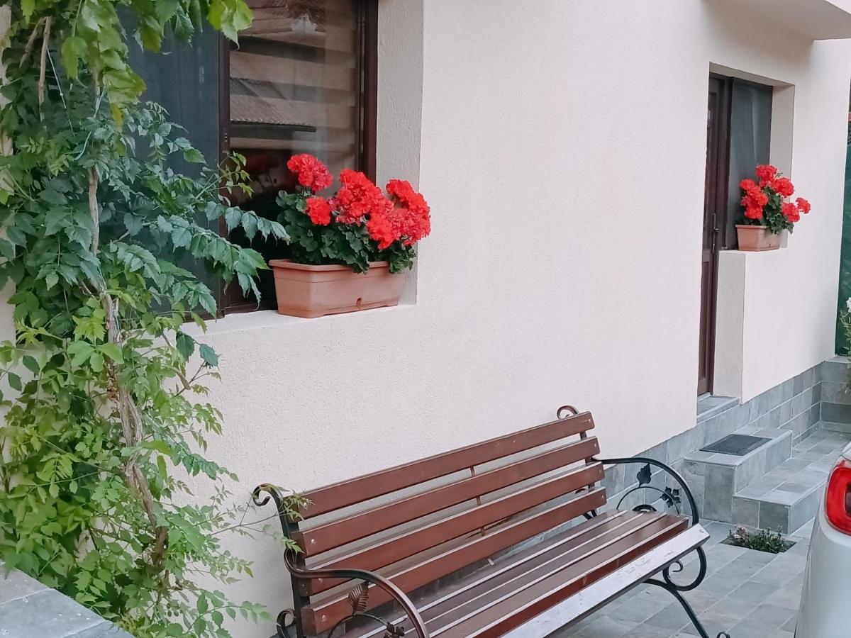 Casa Tâmplarului - Housity