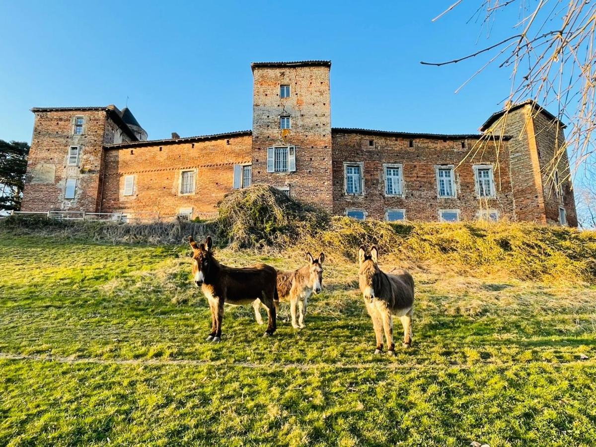 Château du Montellier - Housity