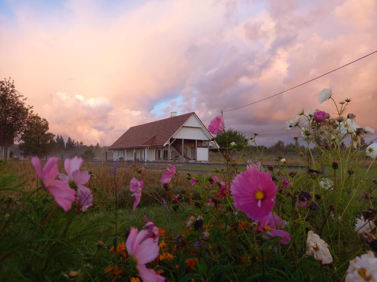 Roose Guesthouse - Housity