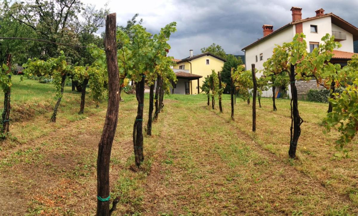 Small house in Vipava valley - Housity