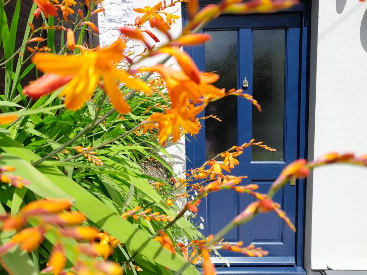 The Captain's House Charlestown St Austell - Housity