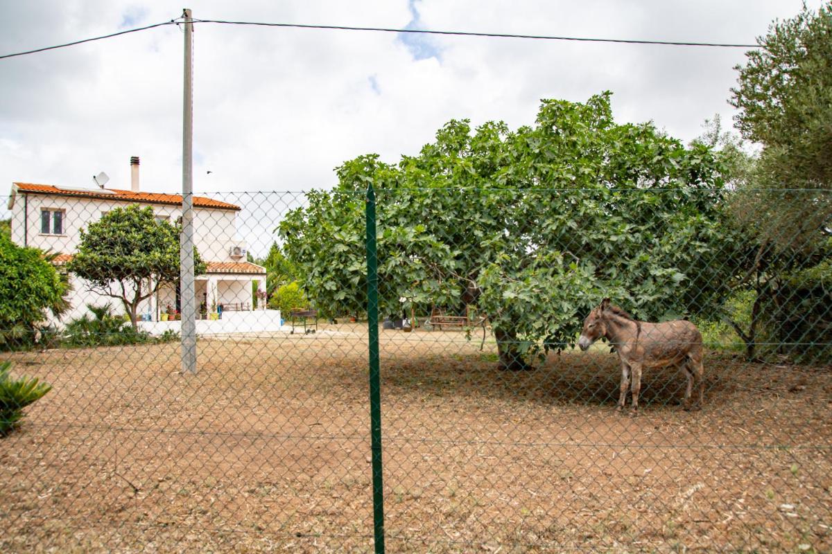 Villa del Lupo - Housity