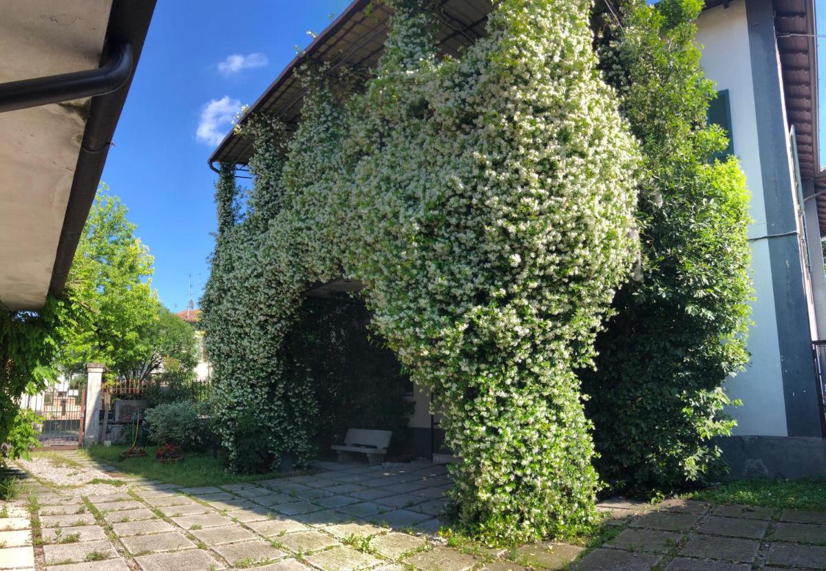 Appartamento Il Gelsomino - Housity