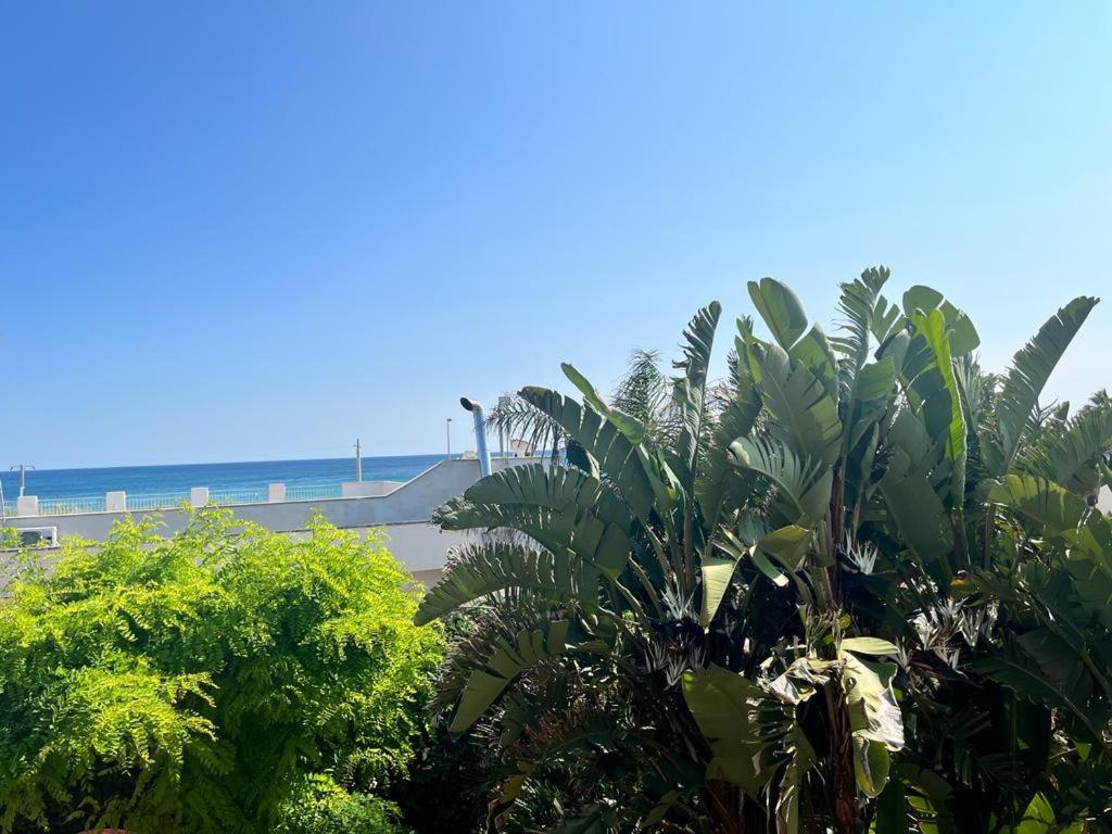 Villa Irene - Housity