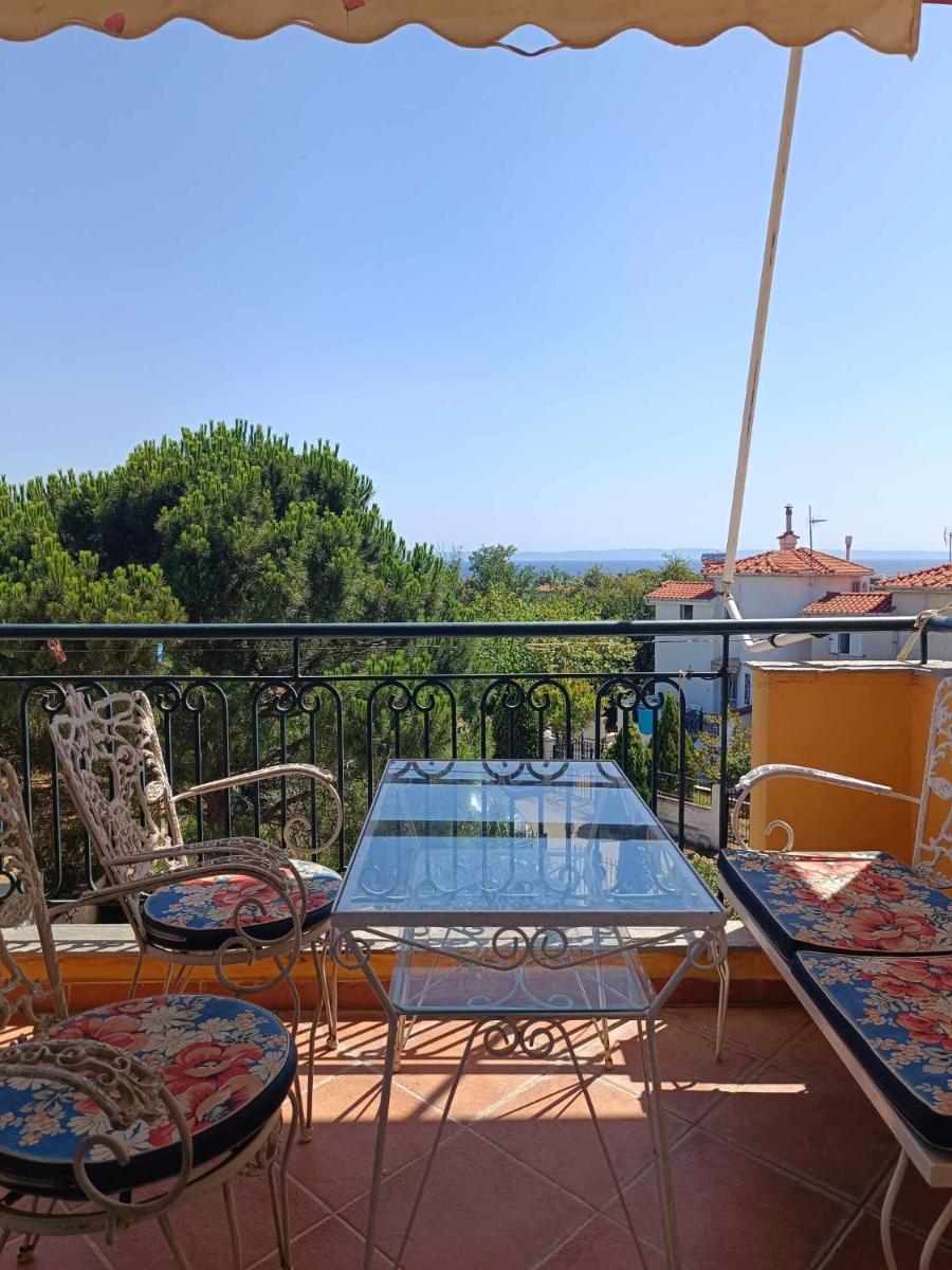 Seaview Oasis - Housity