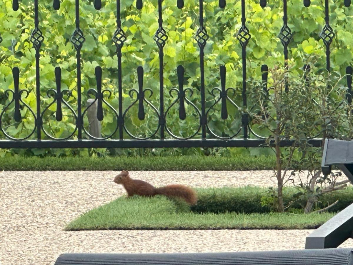 Jardin de l'établissement Les Rêveries du Clos POMMARD Vignes & SPA& Dégustation