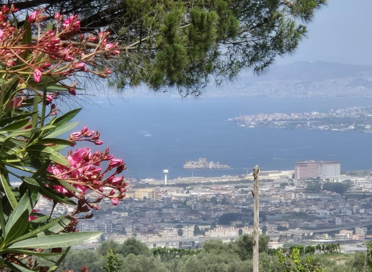 La Vigna del Vento - Housity